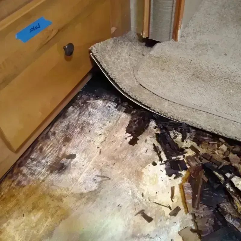 Wood Floor Water Damage in Arthur, NE